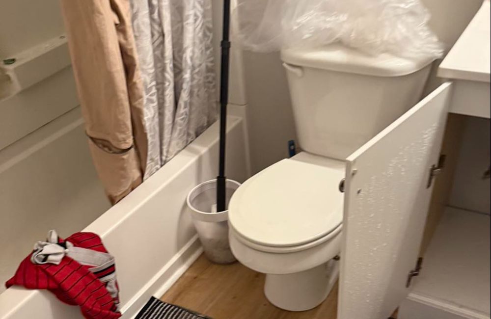 Professional Plumbing Services In Gainesville, GA